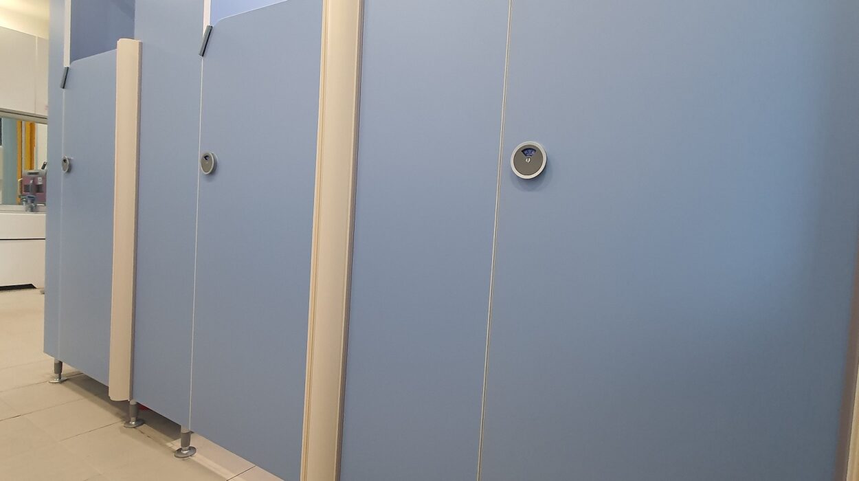 동탄호수공원 시립어린이집 현장